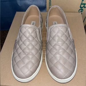 Steve Madden Ecentrcq